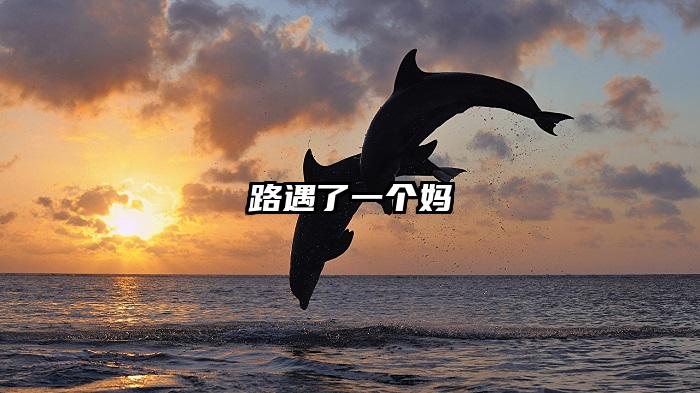 路遇了一个妈