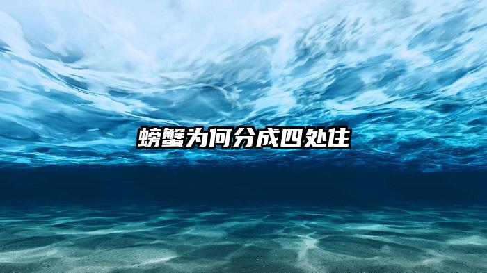 螃蟹为何分成四处住