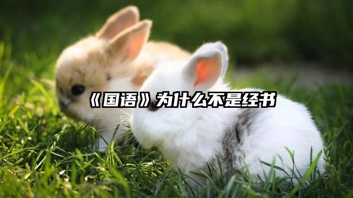《国语》为什么不是经书