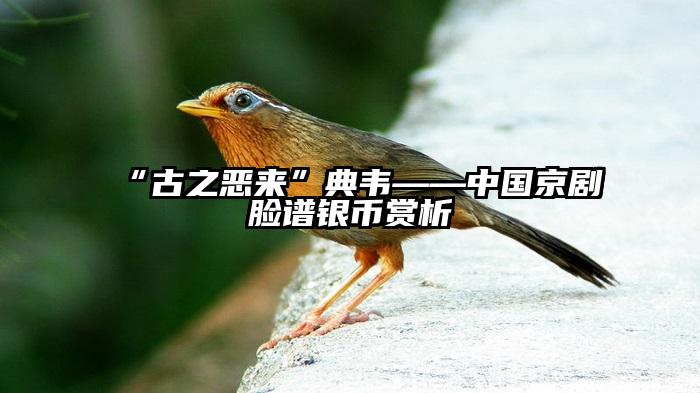 “古之恶来”典韦——中国京剧脸谱银币赏析