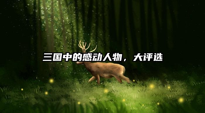 三国中的感动人物，大评选