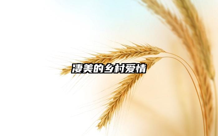 凄美的乡村爱情