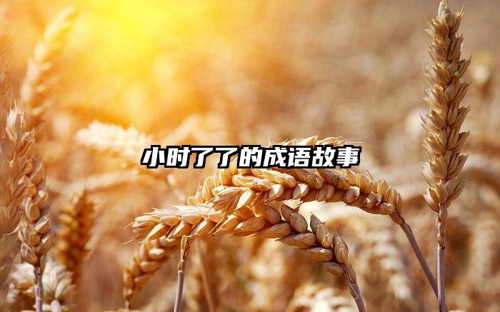 小时了了的成语故事