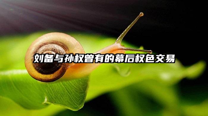 刘备与孙权曾有的幕后权色交易