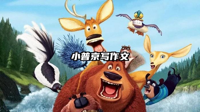 小普京写作文