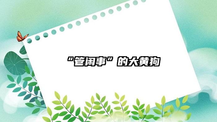 “管闲事”的大黄狗