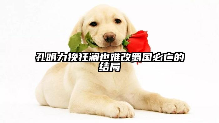 孔明力挽狂澜也难改蜀国必亡的结局