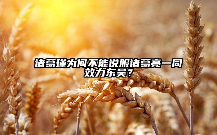 诸葛瑾为何不能说服诸葛亮一同效力东吴？