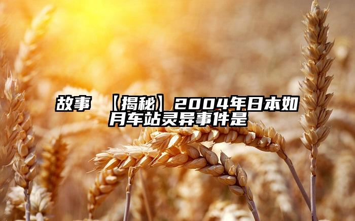 故事 【揭秘】2004年日本如月车站灵异事件是