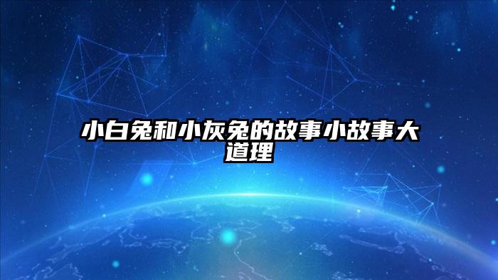 小白兔和小灰兔的故事小故事大道理