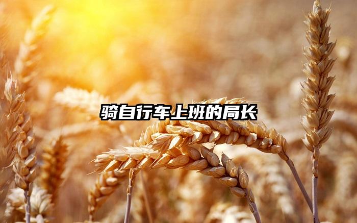 骑自行车上班的局长