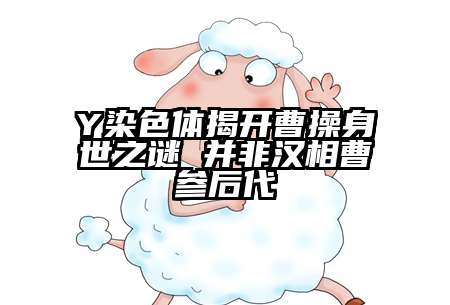 Y染色体揭开曹操身世之谜 并非汉相曹参后代