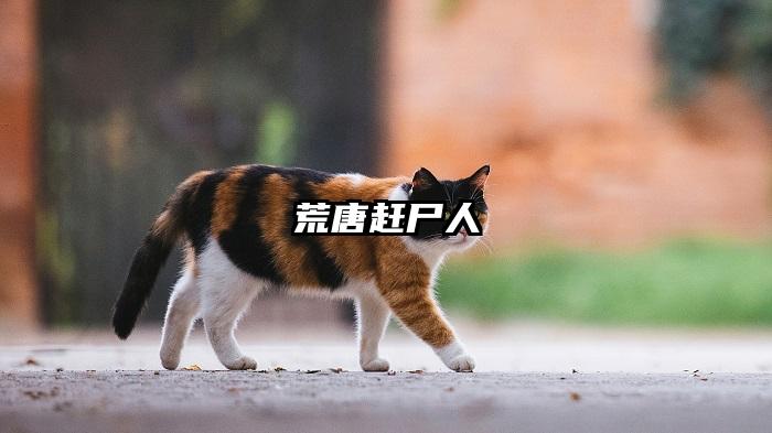 荒唐赶尸人