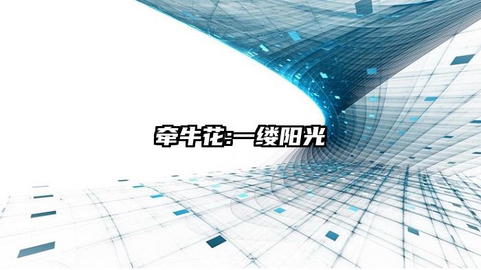 牵牛花:一缕阳光