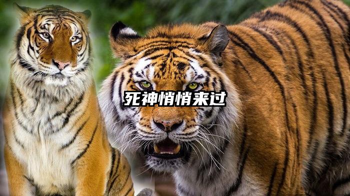 死神悄悄来过