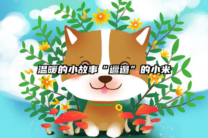 温暖的小故事“邋遢”的小米