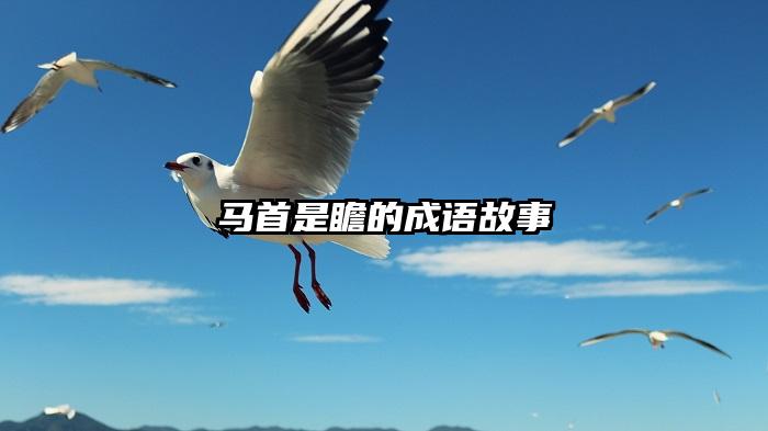 马首是瞻的成语故事