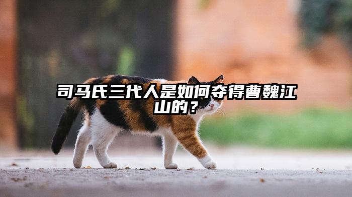 司马氏三代人是如何夺得曹魏江山的？