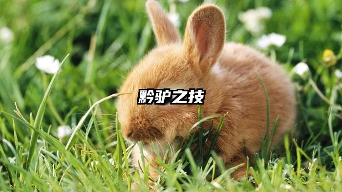 黔驴之技