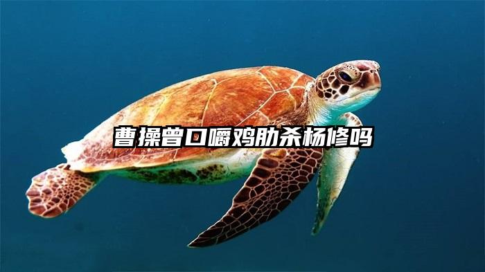 曹操曾口嚼鸡肋杀杨修吗