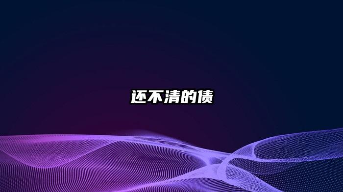 还不清的债