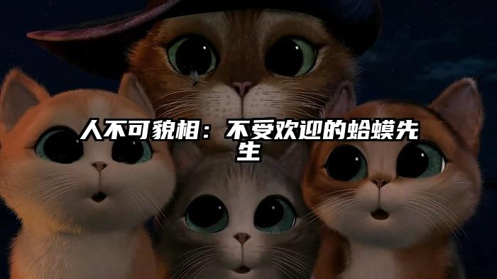 人不可貌相：不受欢迎的蛤蟆先生