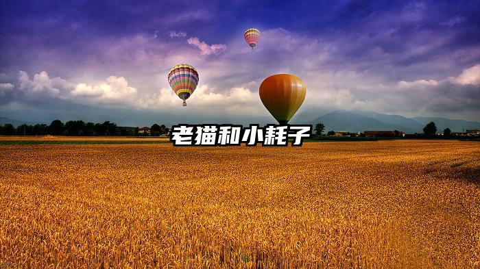 老猫和小耗子