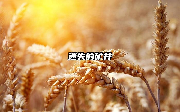 迷失的矿井