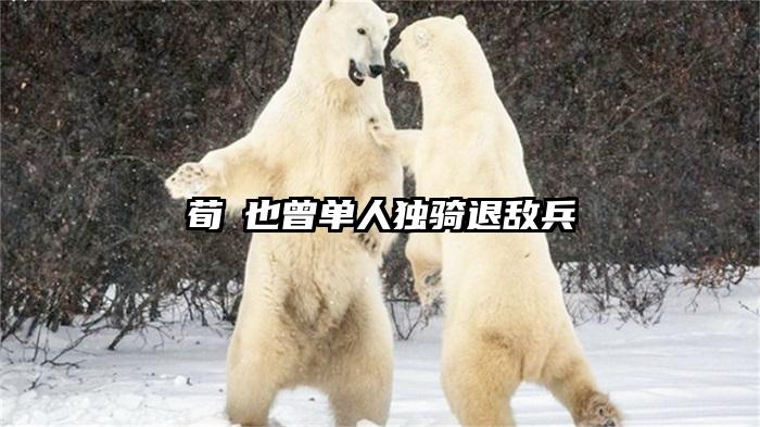 荀彧也曾单人独骑退敌兵