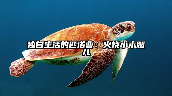 独自生活的匹诺曹：火烧小木腿儿