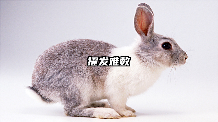 擢发难数