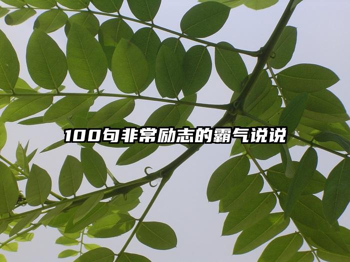 100句非常励志的霸气说说