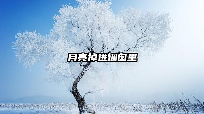 月亮掉进烟囱里
