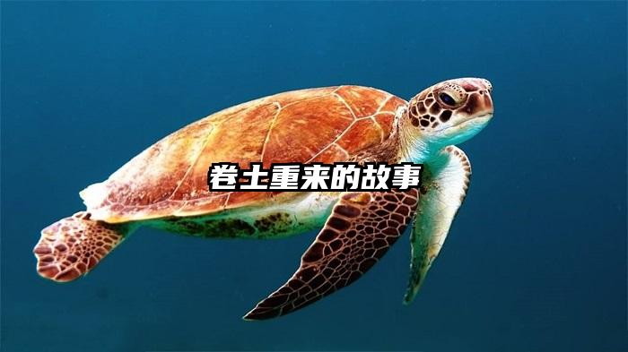 卷土重来的故事
