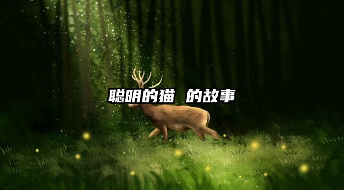 聪明的猫 的故事