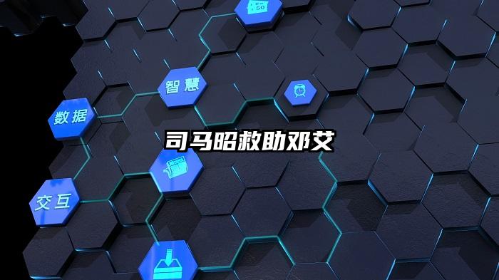 司马昭救助邓艾
