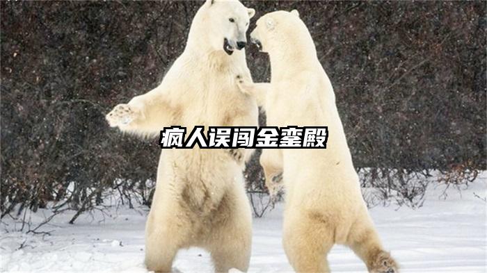 疯人误闯金銮殿