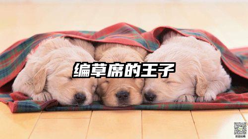 编草席的王子