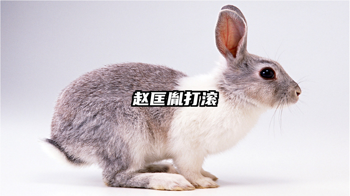 赵匡胤打滚