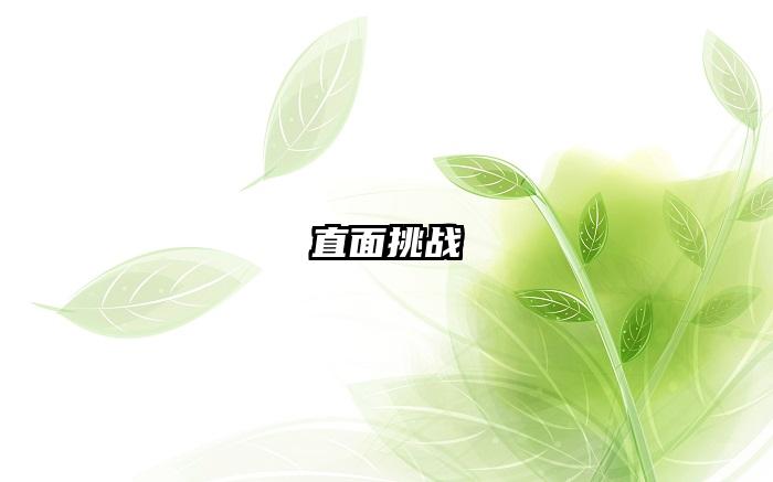 直面挑战