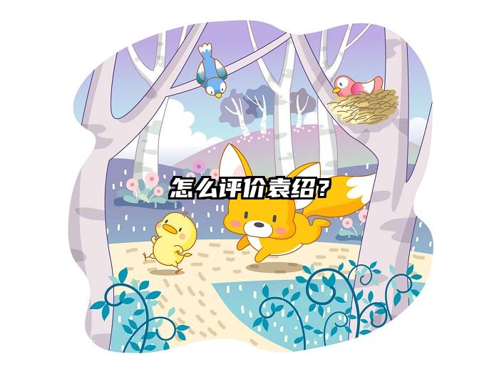 怎么评价袁绍？