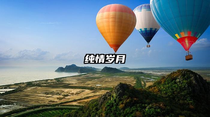 纯情岁月