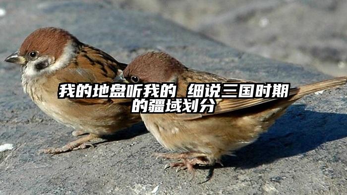 我的地盘听我的 细说三国时期的疆域划分