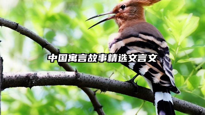 中国寓言故事精选文言文