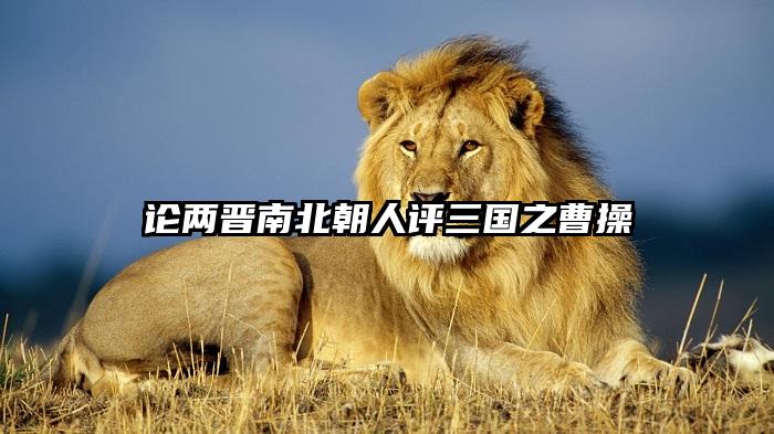 论两晋南北朝人评三国之曹操