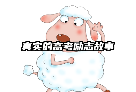 真实的高考励志故事