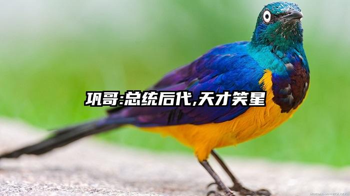 巩哥:总统后代,天才笑星