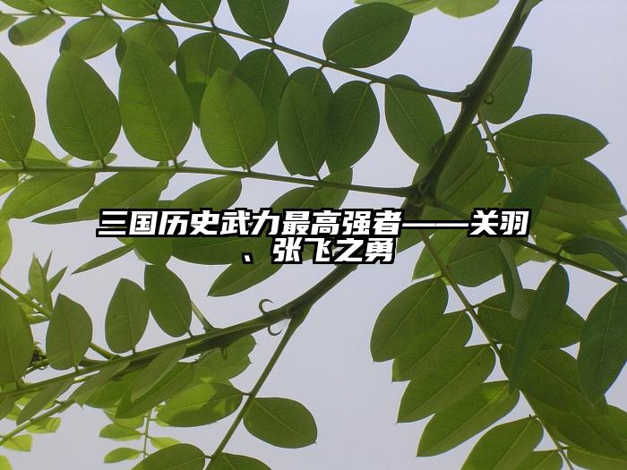 三国历史武力最高强者——关羽、张飞之勇