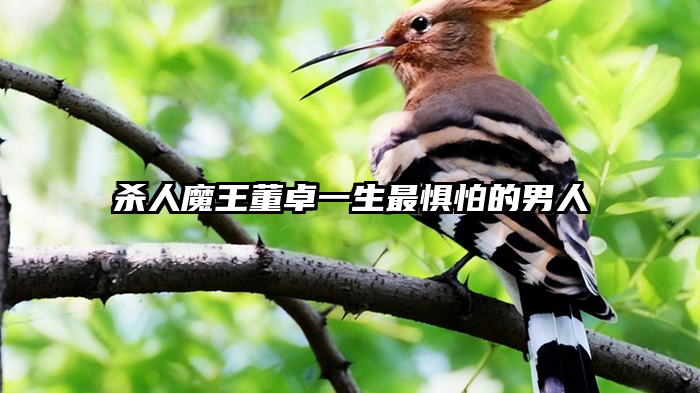 杀人魔王董卓一生最惧怕的男人