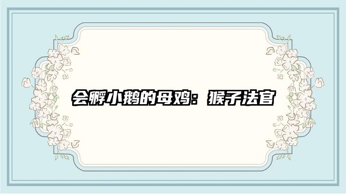 会孵小鹅的母鸡：猴子法官